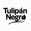 Tulipan Negro