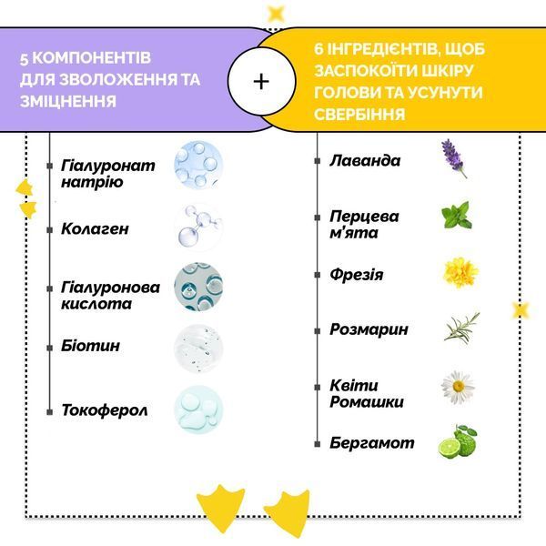 Шампунь для сухих и повреждённых волос Dr.FORHAIR Folligen Silk Shampoo 1855 фото