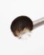 Скошений пензлик для румян UNICO brush blush&contouring 1196 фото 3