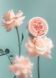 Крем-батер для тіла Passion Mr.SCRUBBER 150 ml 2660 фото 2