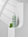 Освежающая маска-пилинг для очищения кожи головы Dr.FORHAIR Phyto Fresh Scalp Scaler, 200 мл 697 фото 2