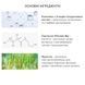 Увлажняющие гидрогелевые патчи Dr.Ceuracle Hyal Reyouth Hydrogel Eye Mask 2367 фото 4